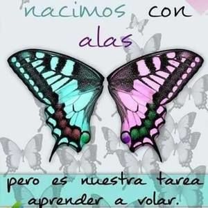 Meet your Posher, Kmila-f